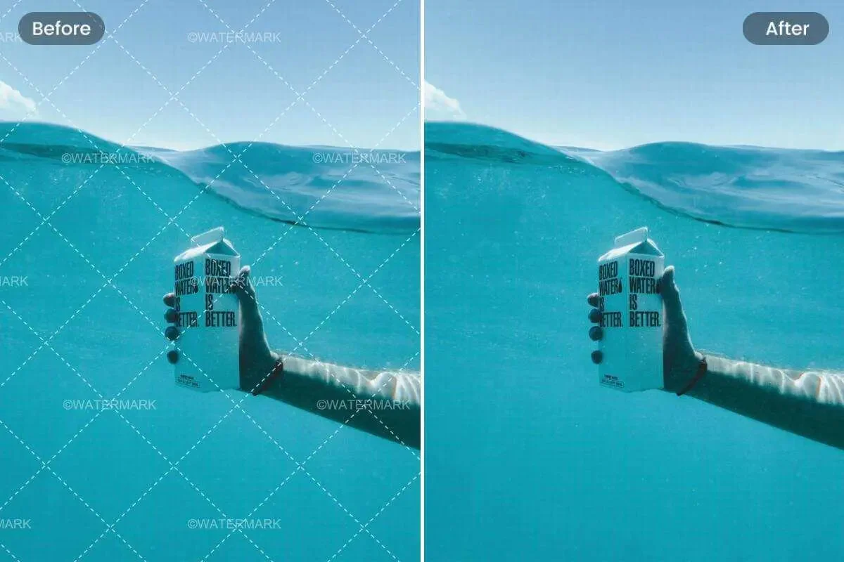 Importance of Image Copyright